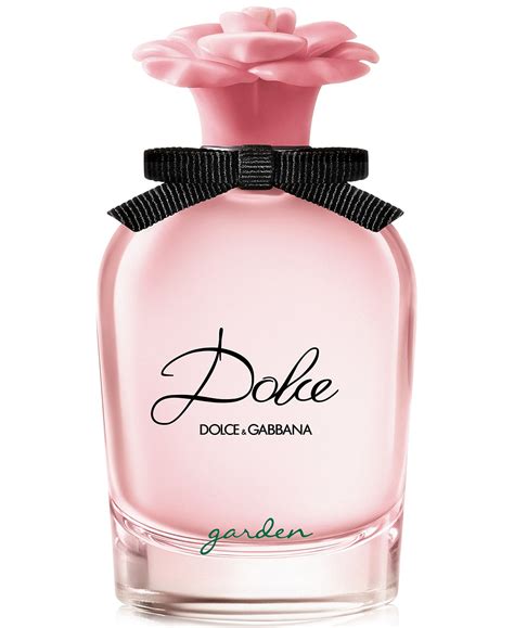 dolce and gabbana women's fragrance.